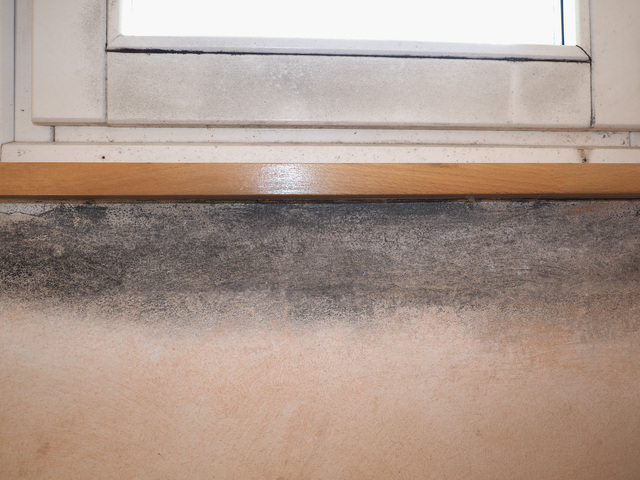 damage caused by dampness and moisture on a wall