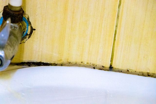 Mold in the bathroom at the sink